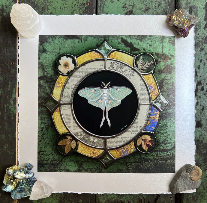 Luna moth medallion print. Luna moth is in central circle on black background with segmented border of vintage book pages. Third and outermost rung is gold mirror with bronze flecks, pressed wildflowers, and glass bevels in alternating border. 8x8